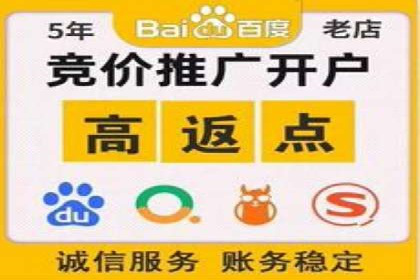 SEM推广策略：成功案例解析与效果评估
